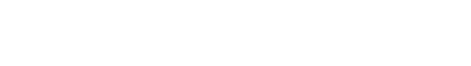Tui Codes Limited