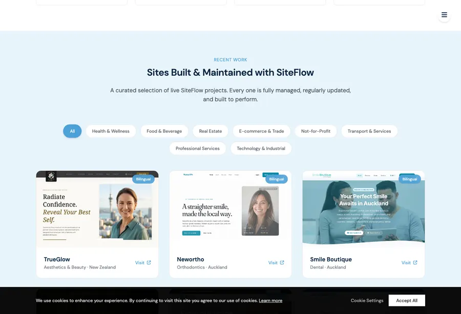More SiteFlow work website screenshot